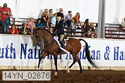 14yn_02876 proof