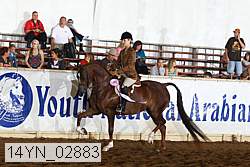 14yn_02883 proof