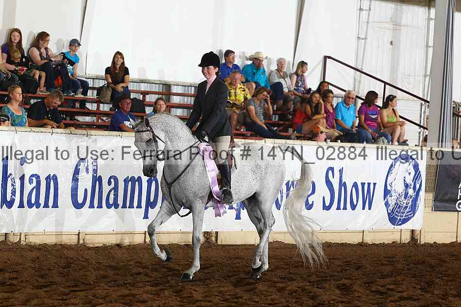 Proof 14yn_02884