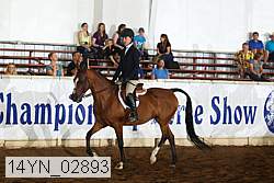 14yn_02893 proof