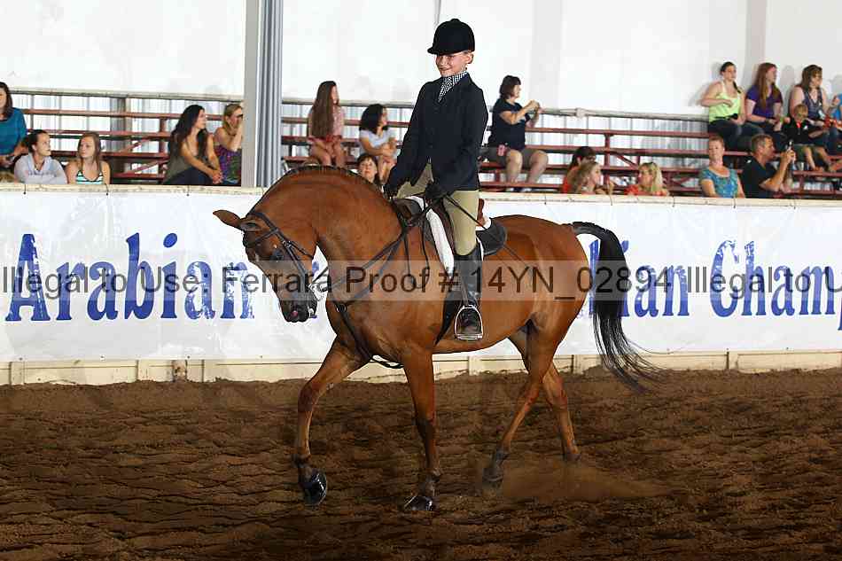 Proof 14yn_02894