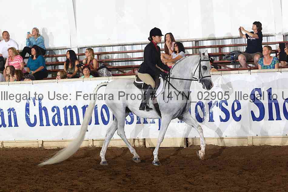 Proof 14yn_02905