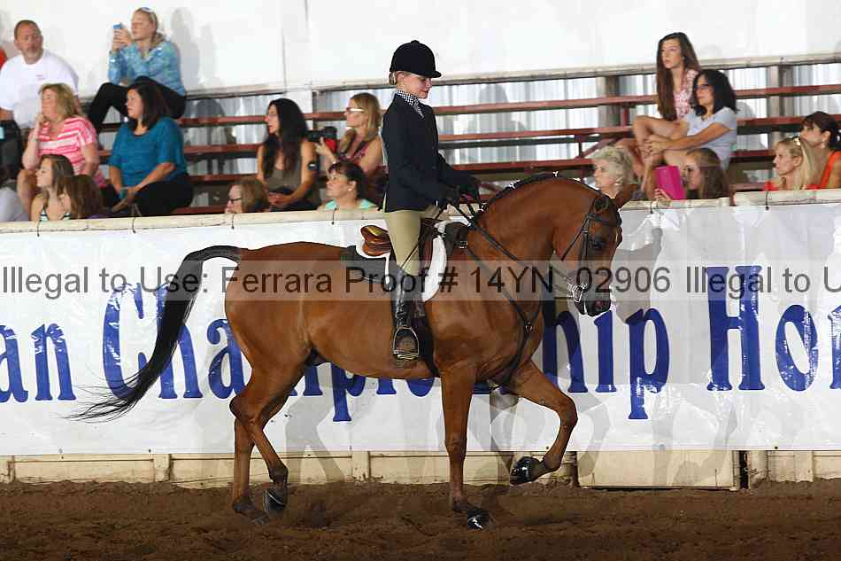 Proof 14yn_02906