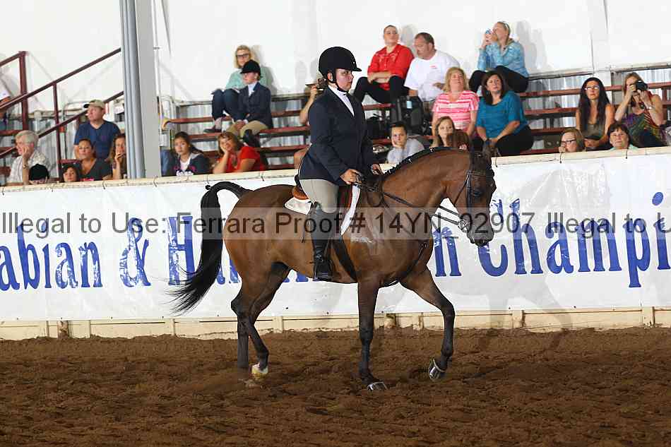 Proof 14yn_02907