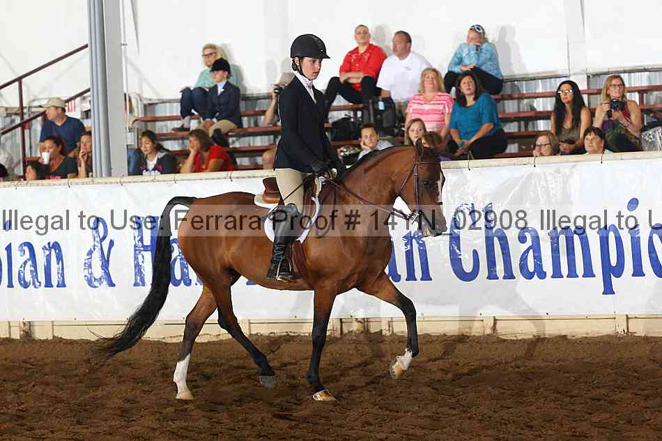 Proof 14yn_02908