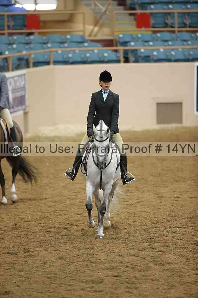 Proof 14yn_25496