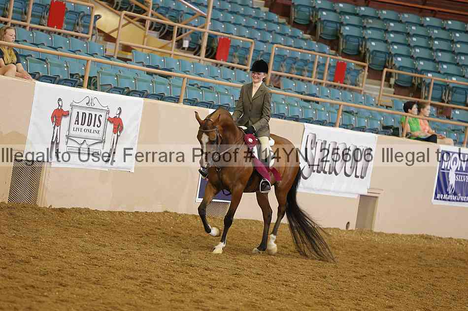 Proof 14yn_25606