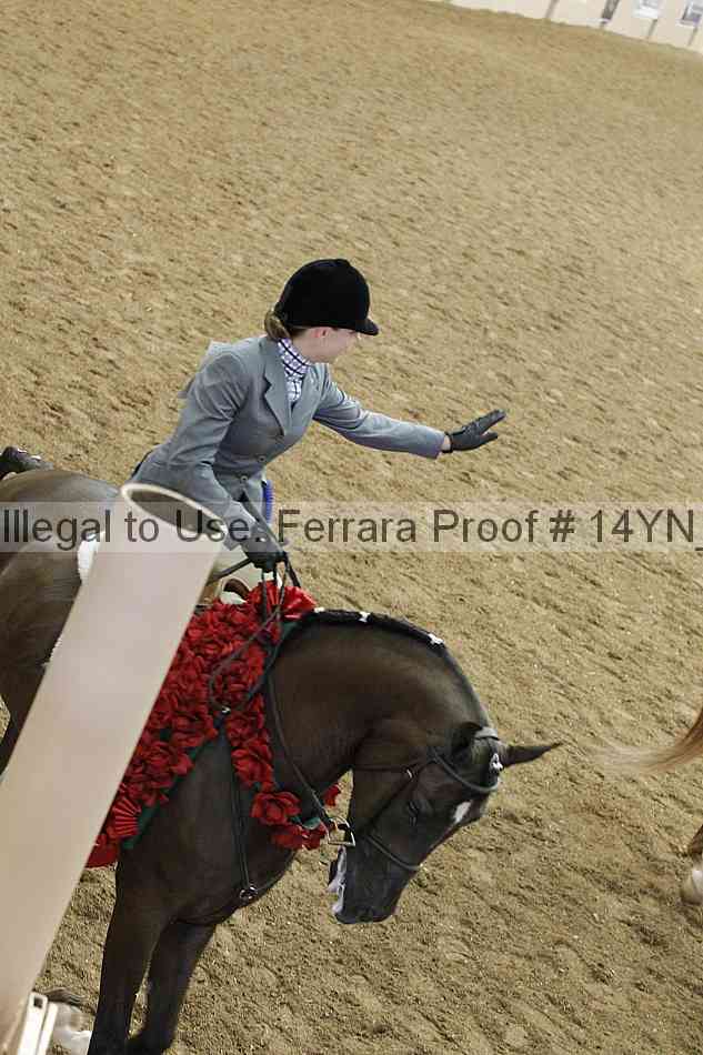 Proof 14yn_25661
