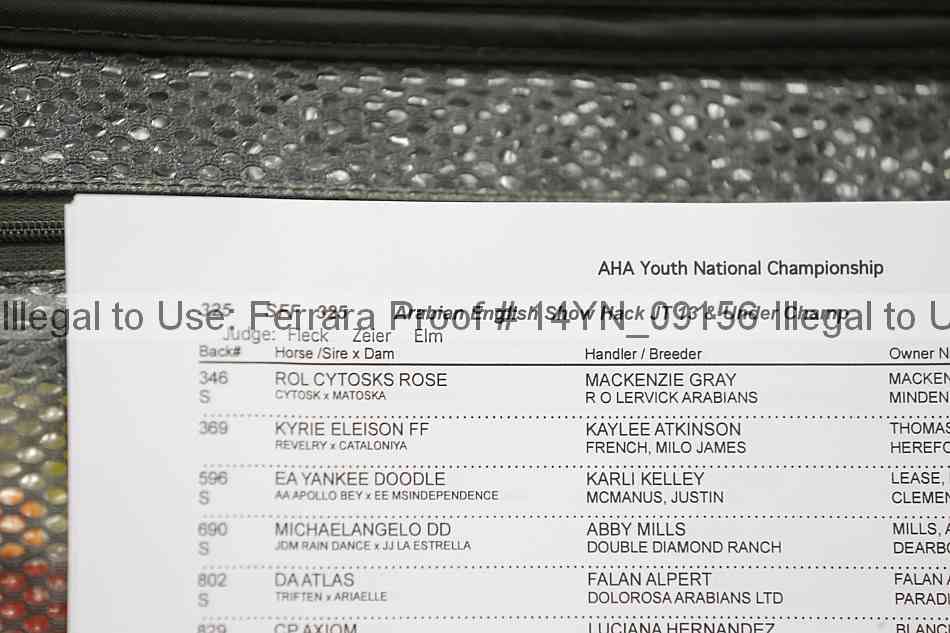 Proof 14yn_09156