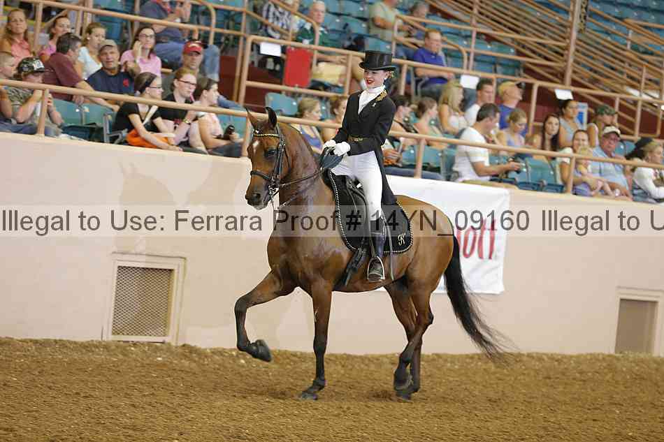 Proof 14yn_09160