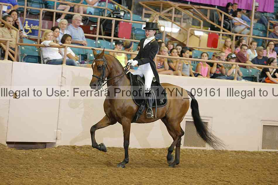 Proof 14yn_09161