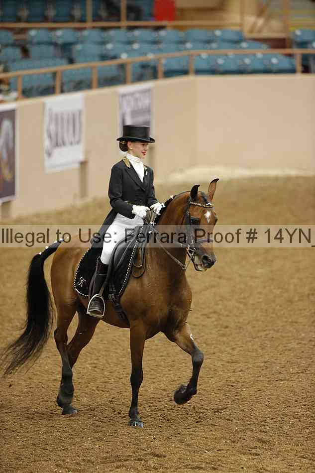 Proof 14yn_09163