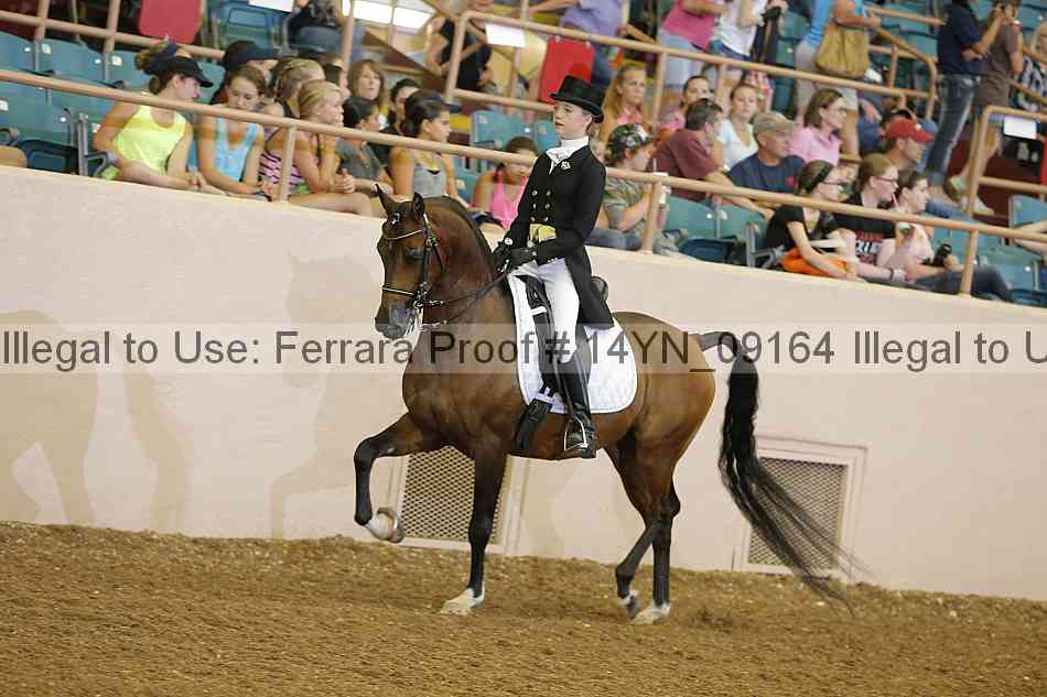 Proof 14yn_09164
