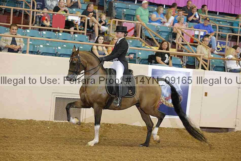 Proof 14yn_09165