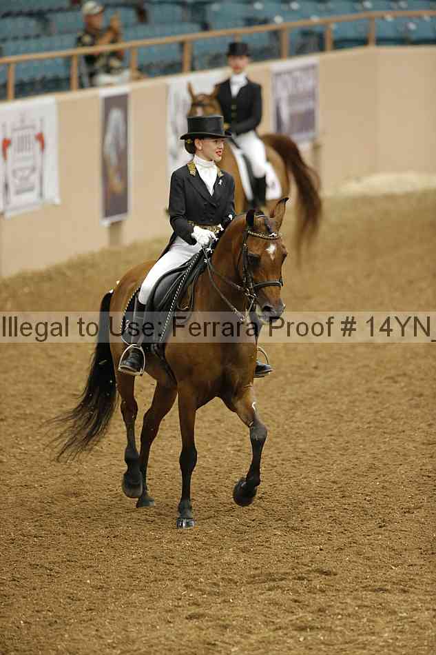 Proof 14yn_09166