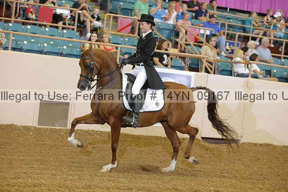 Proof 14yn_09167