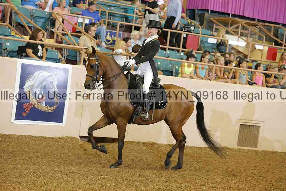 Proof 14yn_09168