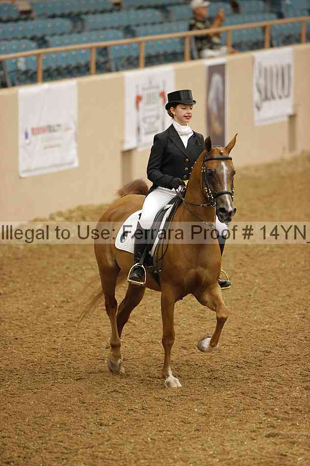Proof 14yn_09169