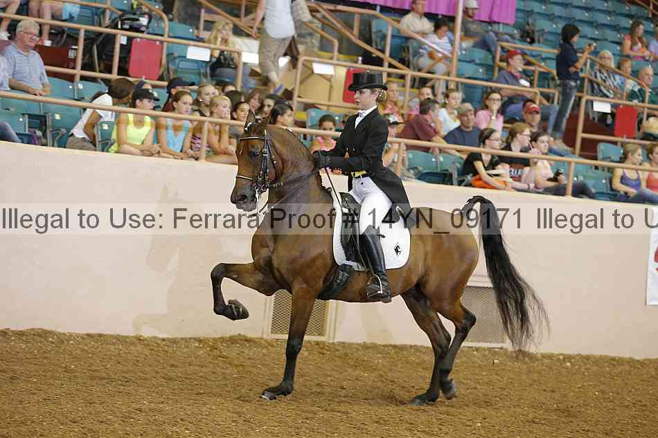 Proof 14yn_09171