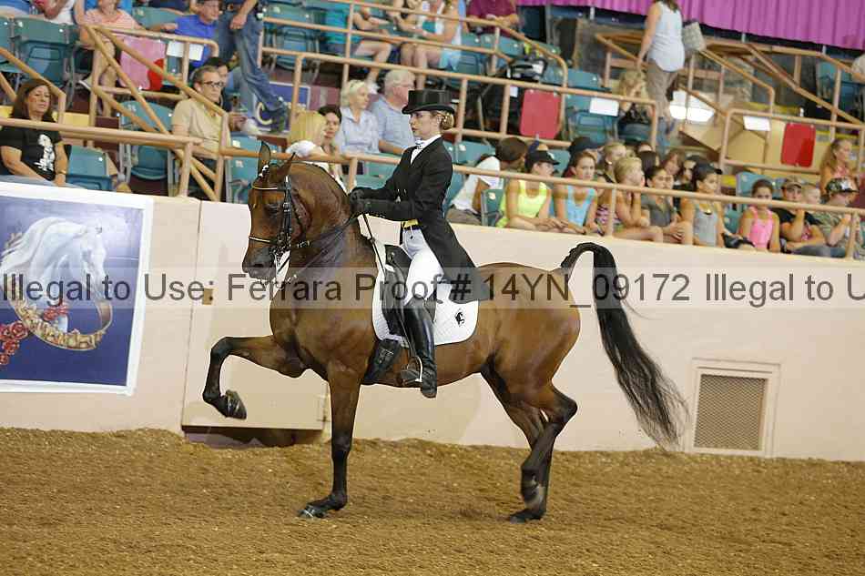 Proof 14yn_09172