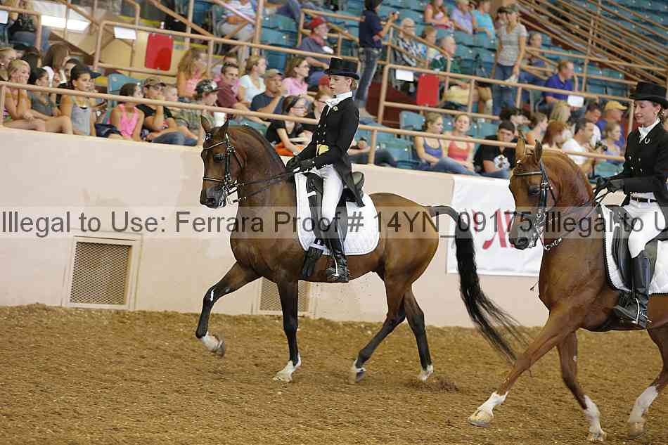 Proof 14yn_09175