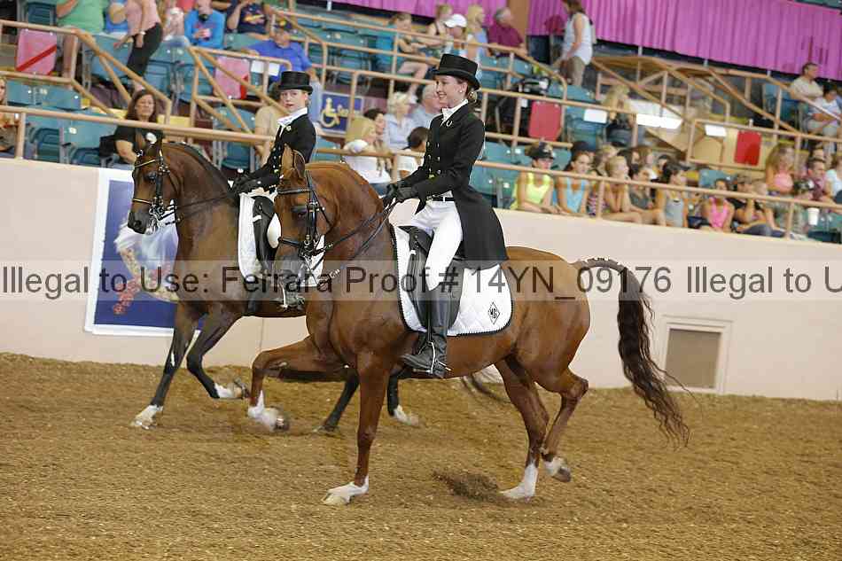 Proof 14yn_09176