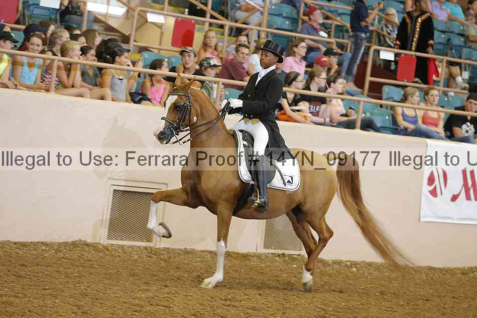 Proof 14yn_09177