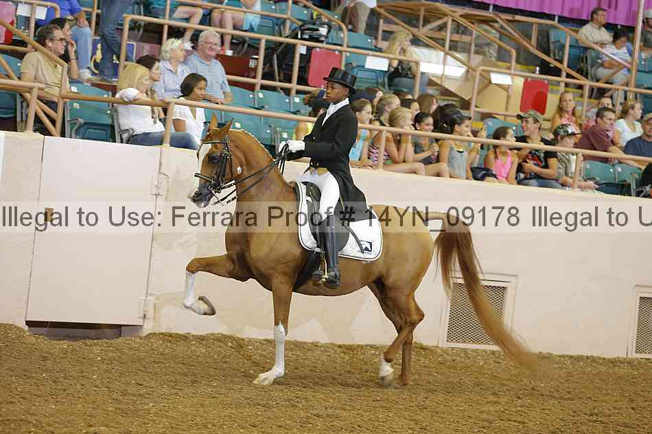 Proof 14yn_09178
