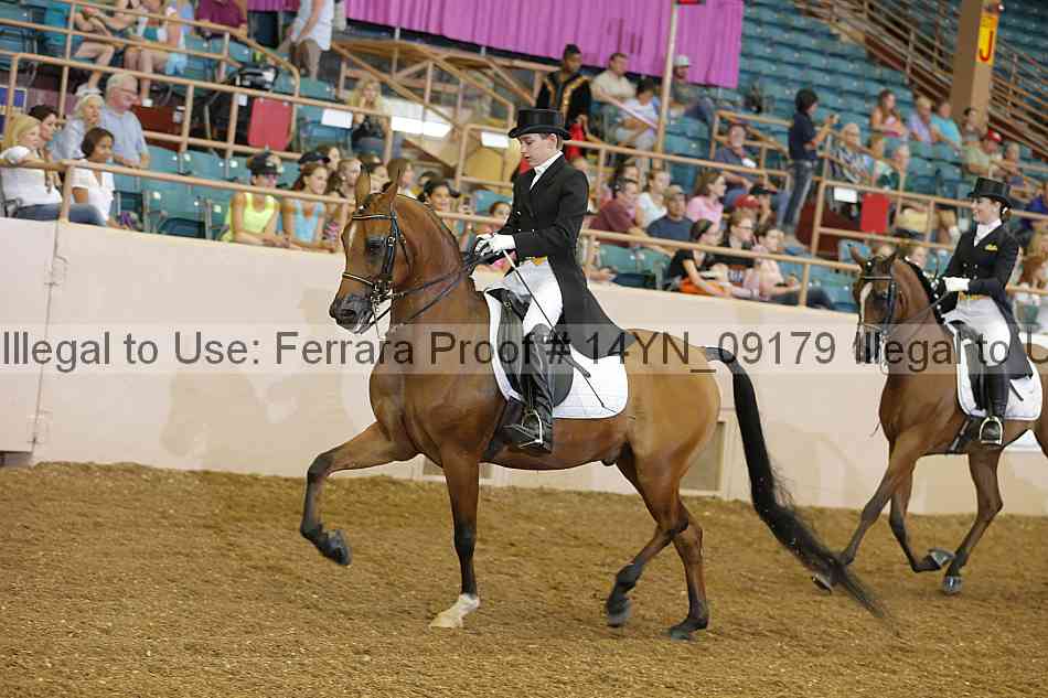 Proof 14yn_09179