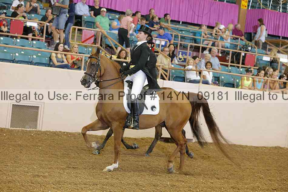 Proof 14yn_09181