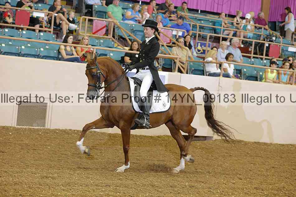 Proof 14yn_09183