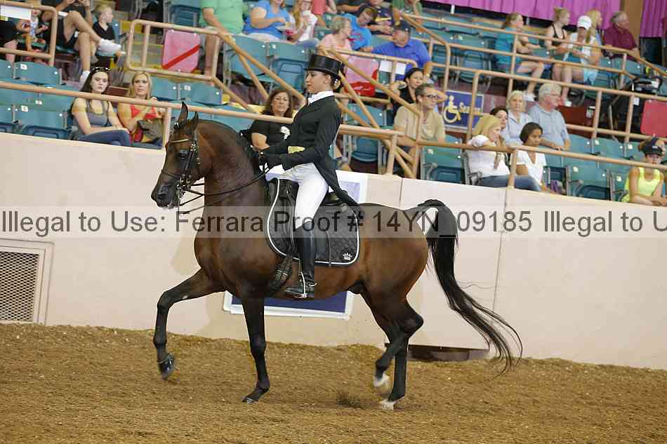 Proof 14yn_09185