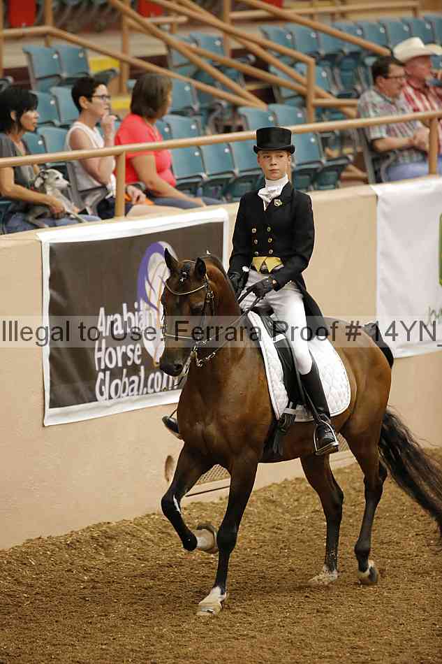 Proof 14yn_09186