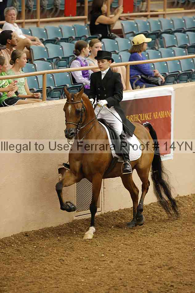 Proof 14yn_09189