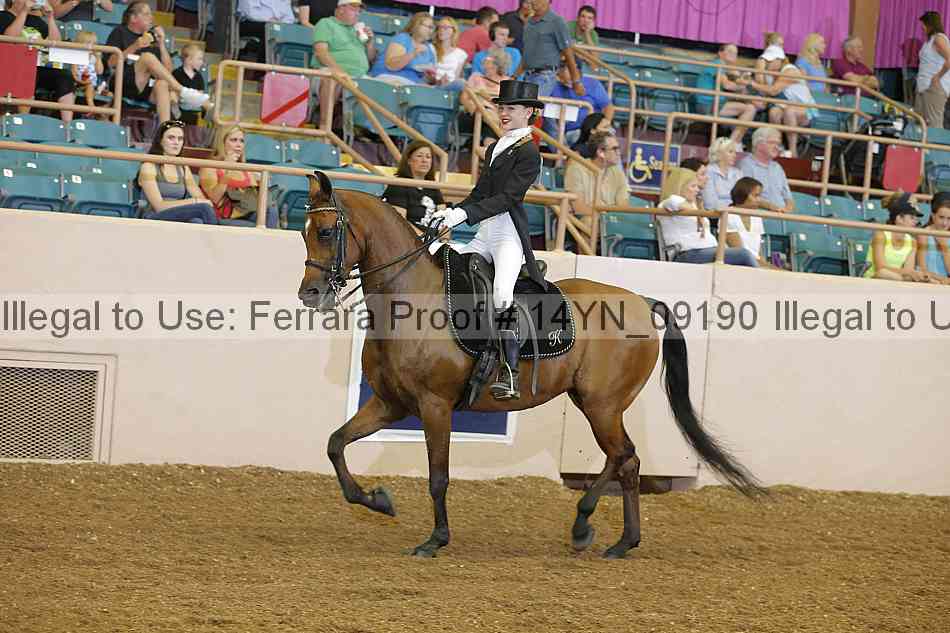 Proof 14yn_09190