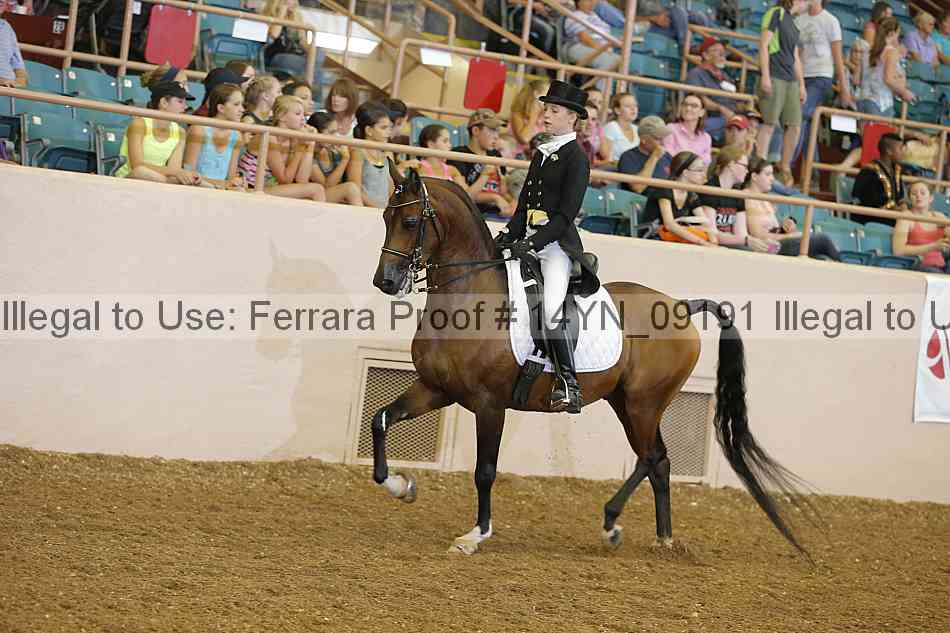 Proof 14yn_09191