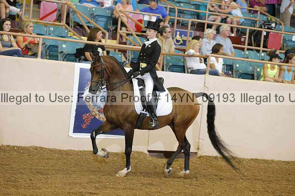 Proof 14yn_09193