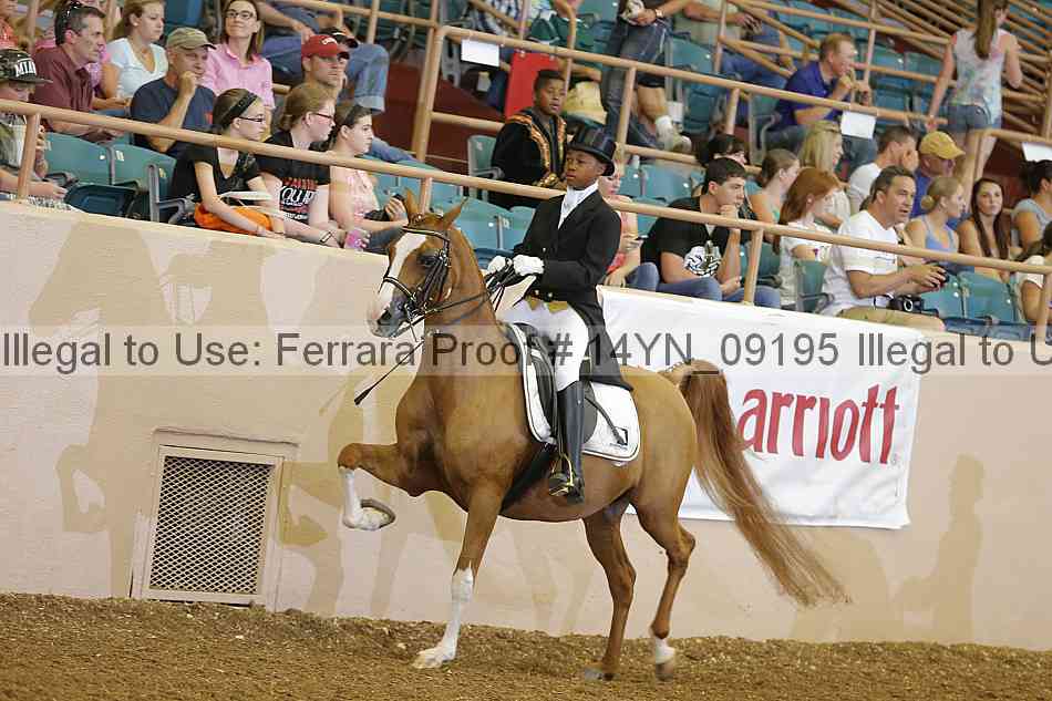 Proof 14yn_09195