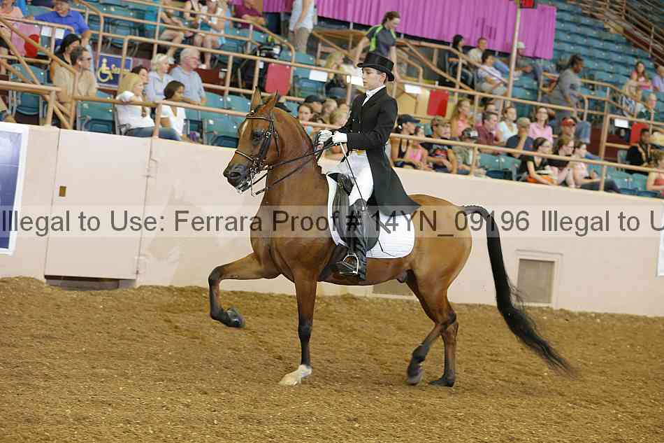 Proof 14yn_09196
