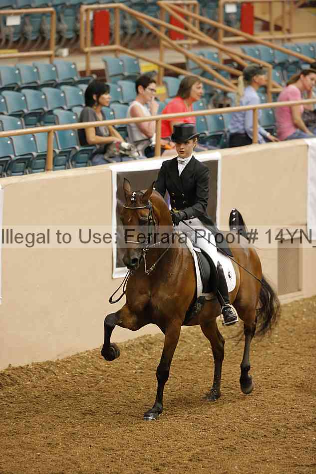 Proof 14yn_09197