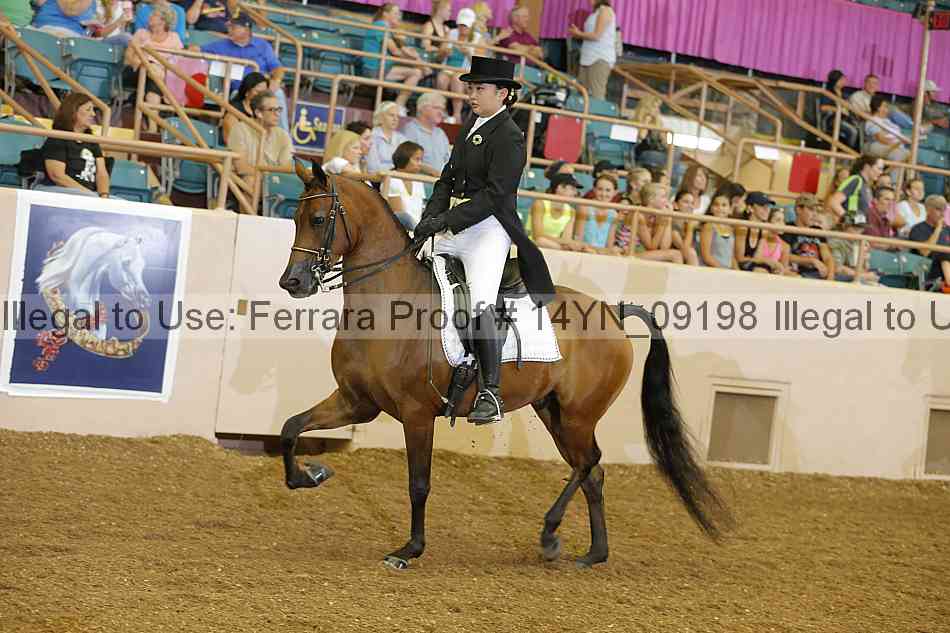 Proof 14yn_09198