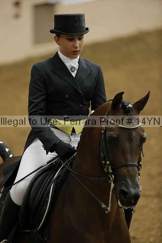 Proof 14yn_09205