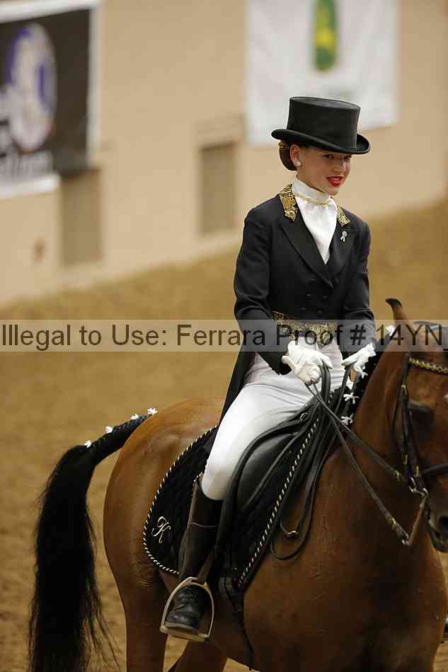 Proof 14yn_09206