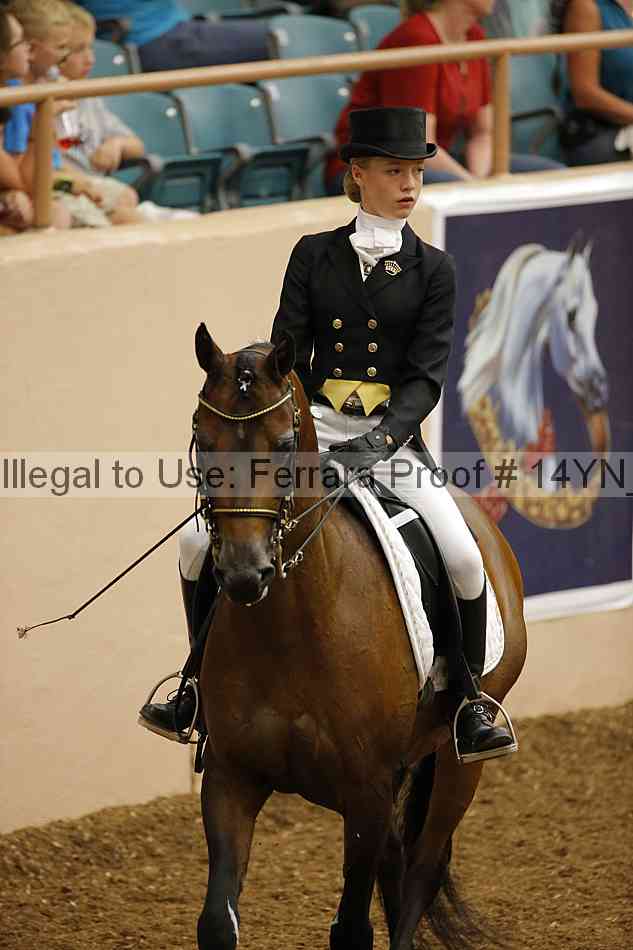 Proof 14yn_09208