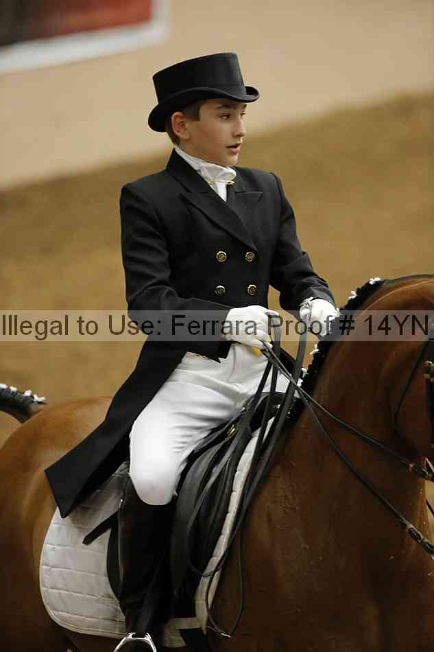 Proof 14yn_09209