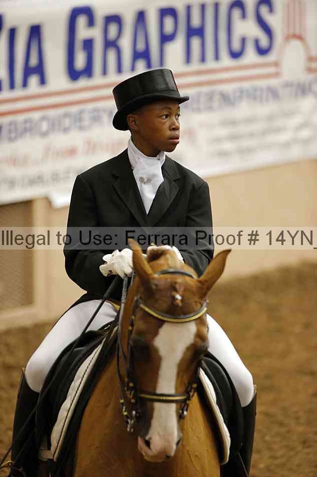 Proof 14yn_09211