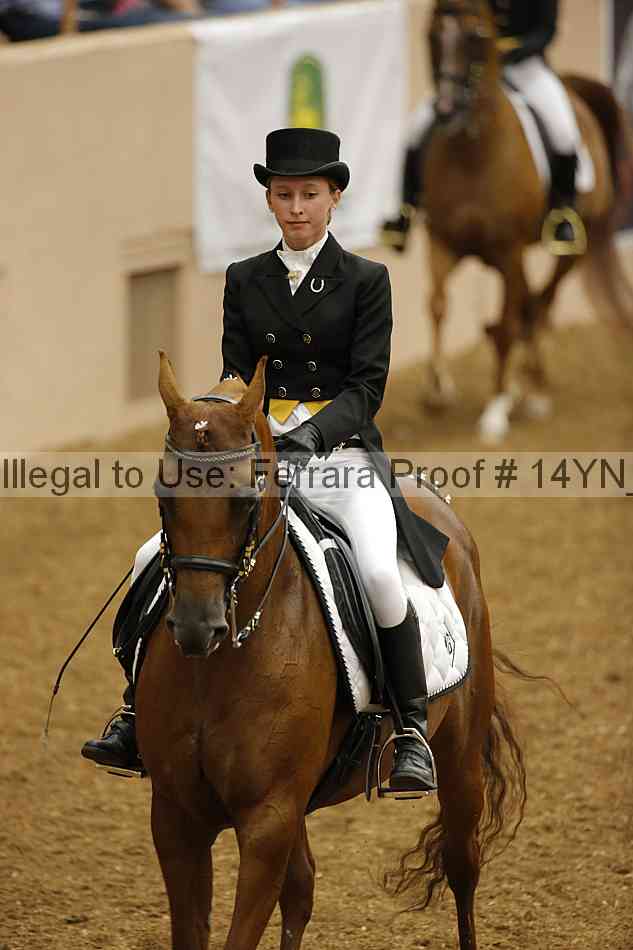 Proof 14yn_09213