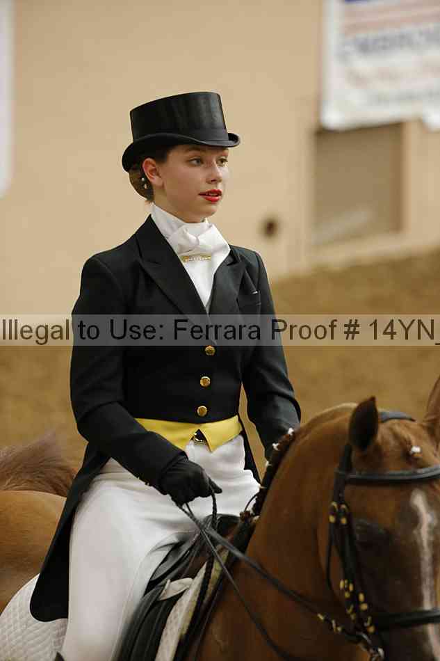 Proof 14yn_09217