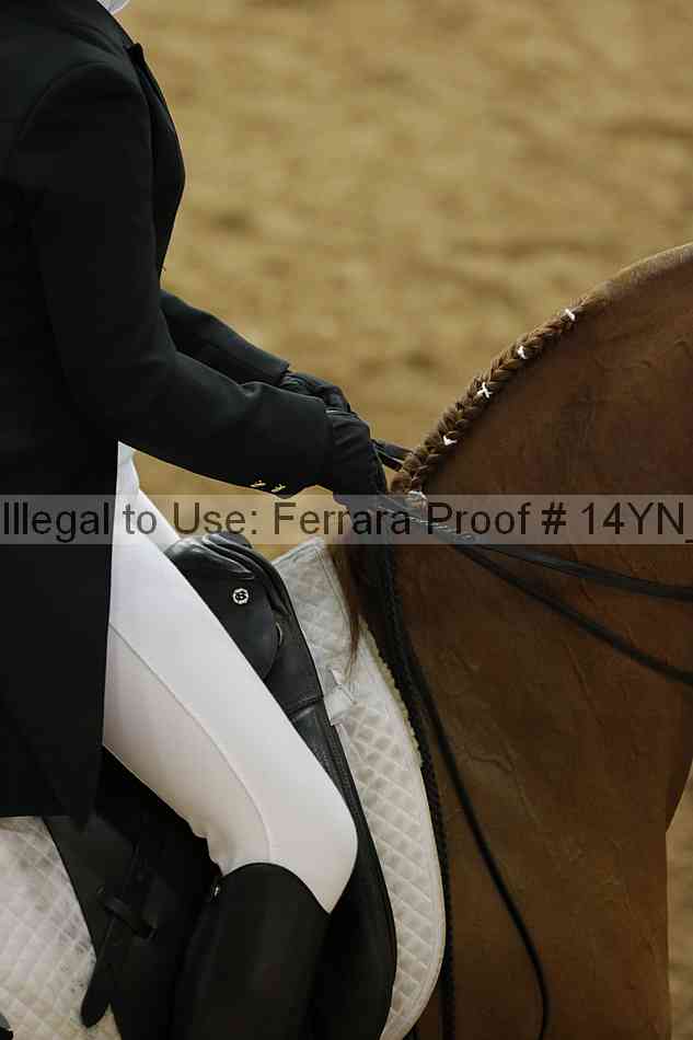Proof 14yn_09219