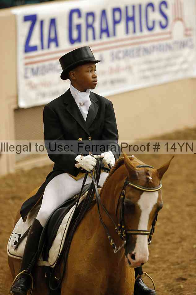 Proof 14yn_09226